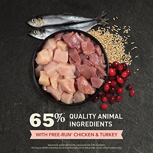 Dry Cat Food for Indoor Cats Indoor Entrée Chicken Turkey 4lb Bag (4 Pound (Pack of 1))