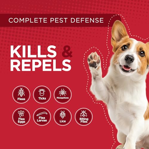 Activate II Flea and Tick Prevention for Large Dogs 21 (Large)