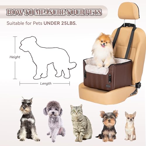 Car Seat for Dogs