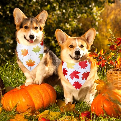 50 Pcs Fall Dog Bandanas Bulk (Maple Leaves / 25.6 x 17.7 x 17.7")