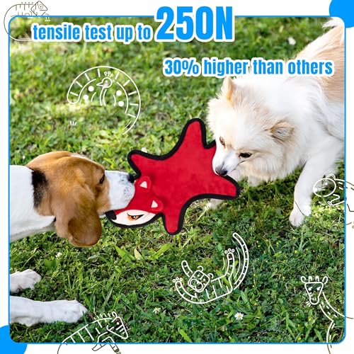 No Stuffing Dog Squeaky Toys (5pack)