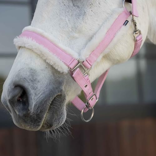 Valkyrie Ultra Fleece Padded Leather Fuse Breakaway Horse Halter (Sweet Pink/Ivory White / Cob)