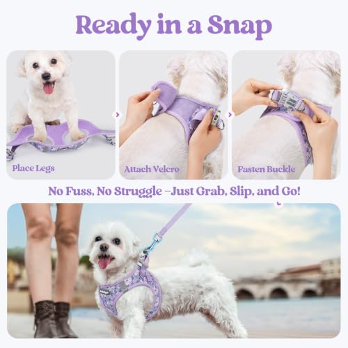 Dog Harness Small Sized and Leash Set (Lavender Floral / Xs (chest: 13.3 - 15.5"))