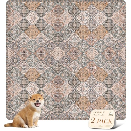 Washable Pee Pads for Dogs (54x54 Inch (Pack of 2) / Brown/Multi)