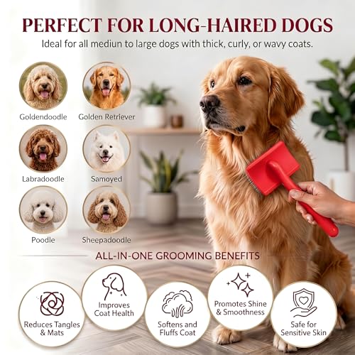 Slicker Brush for Dog (Large / Red)