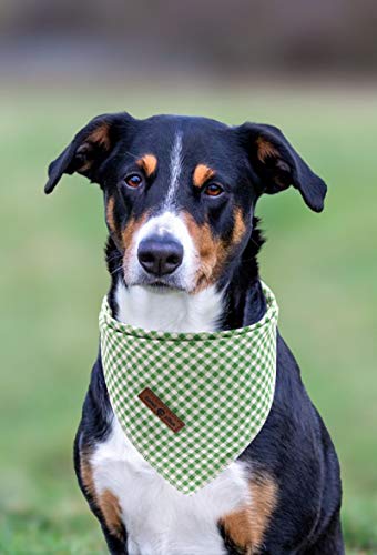Dog Bandana for Small Medium Large Dogs (Green&White Grid / Small (Pack of 1))