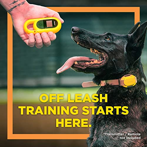 CUE Add On Black Ecollar with Safety Level Lock Boost Vibration Waterproof Rechargeable for Small Medium Large Dogs Dog Training Collar by Dogtra (CUE Receiver Only - Grey)