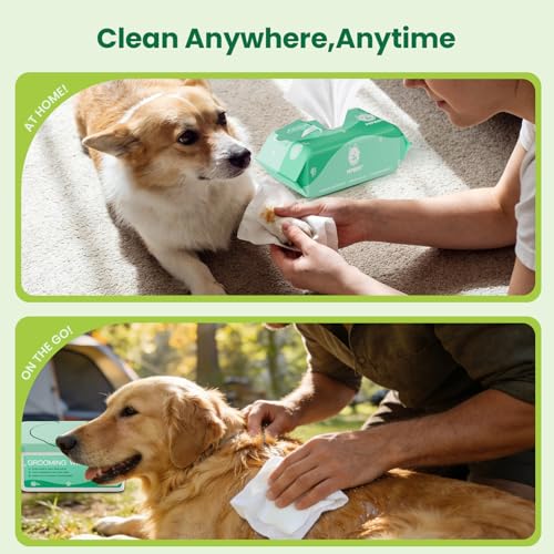 Pet Wipes for Dogs & Cats (1 Box-100 Count)