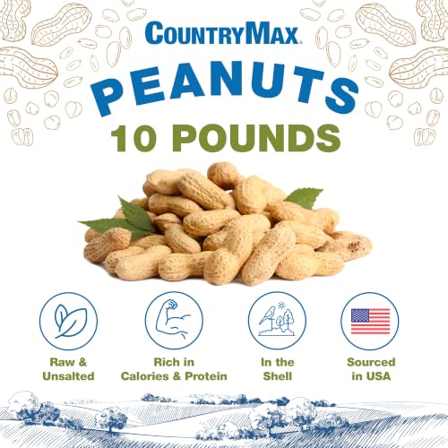 10LB in Shell Raw Peanuts for Wildlife & Squirrels (10 Pound (Pack of 1) / Raw In-Shell)