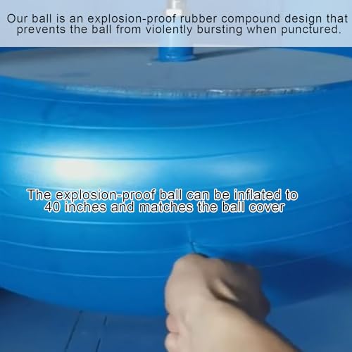 Giant 40 Inch Herding Balls with Ball Cover (Red Color / 40 Inch / Stylish)