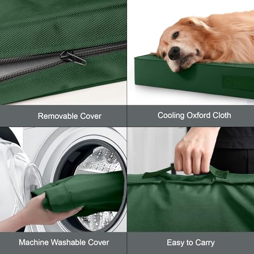 Outdoor Waterproof Orthopedic Dog Bed for Medium Size Dogs (Dark Green / 35.0"L x 22.0"W x 3.0"Th)