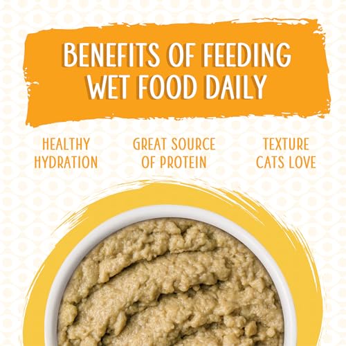 Wet Cat Food The Slice is Right with Wild Caught Salmon Pate (5.5 Ounce (Pack of 12))