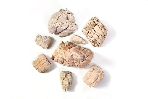 Elephant Skin Stone 18lb Aquarium Rocks Stones for Fish Tank Decor (11 Elephant Skin Stone(3-9 inches,18lbs))