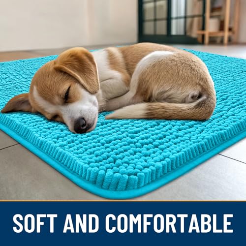 Dog Door Mat for Muddy Paws 54x24 (Aqua Blue / 54"X24")