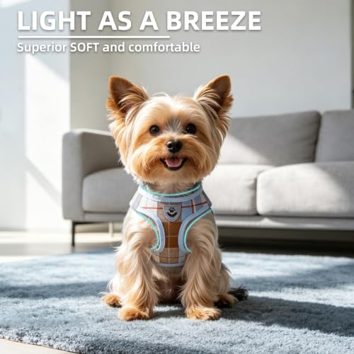 Dog Harness Collar and Leash Set No Pull for Small Medium Sized (Light Blue / M (CHEST 16"-18"))