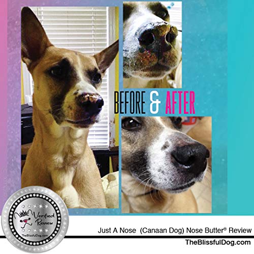 Mixed Breed Unscented Nose Butter (Mixed Breed / 4 Ounce)