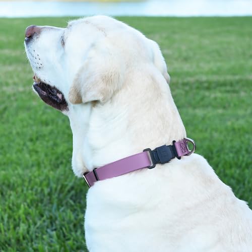 Biothane Waterproof Dog Collar with Herm Sprenger Stainless Steel Quick Release Buckle (W 3/4" x L 12"-19" / Amethyst Purple)