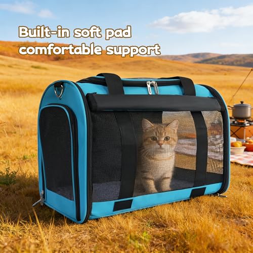 Cat Carrier Backpack (blue)