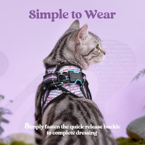 Cat Harness and Leash Set (L / Stars & Stripes)