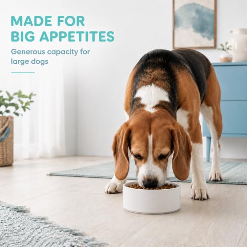 Ceramic Dog Bowls (Matte White)