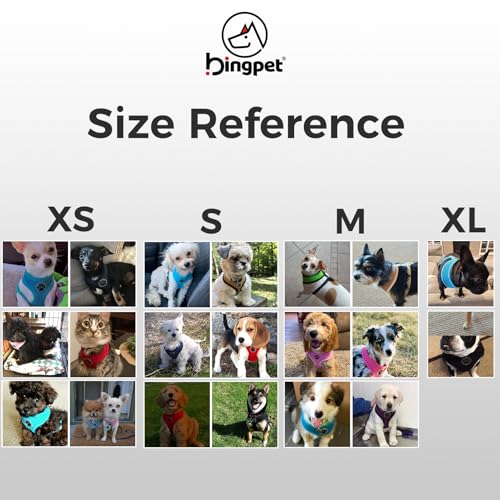 Small Dog Harness (S (NECK: 12", CHEST: 14"-18") / Black)