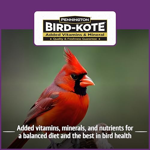 Songbird Nut & Fruit Blend Wild Bird Seed for Outside Feeders (10 lb)