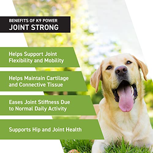 K9Power Joint Strong (1 lb (Pack of 1))