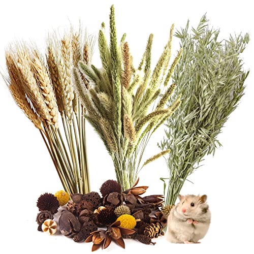 Natural Grain Flower&Herb Hamster Habitat Cage Accessories Bedding Decor (Wheat)