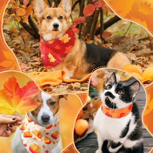 30 Pcs Fall Dog Bandanas Bulk for Autumn Thanksgiving Medium Large (Fall Style)