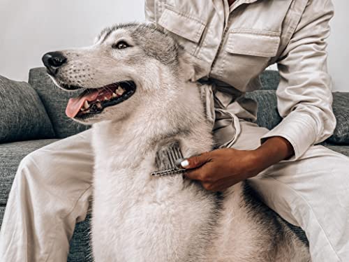 Dematting Comb For Dogs & Cats
