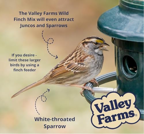 Wild Finch Mix