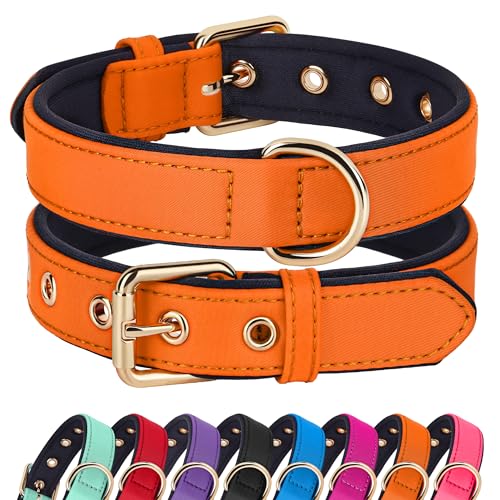 Soft Padded Dog Collars for Large Dogs (Orange / XL: Fit 17-23" Neck)