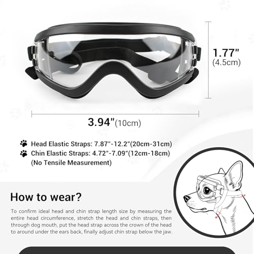 Dog Goggles Small Breed Windproof Anti (Small / Clear)