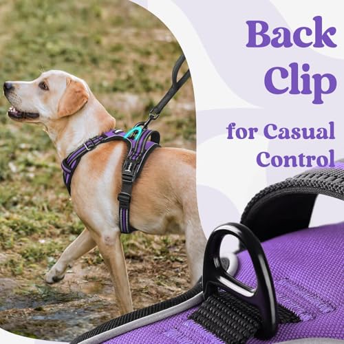 Dog Harness Medium Sized (Medium / Purple)