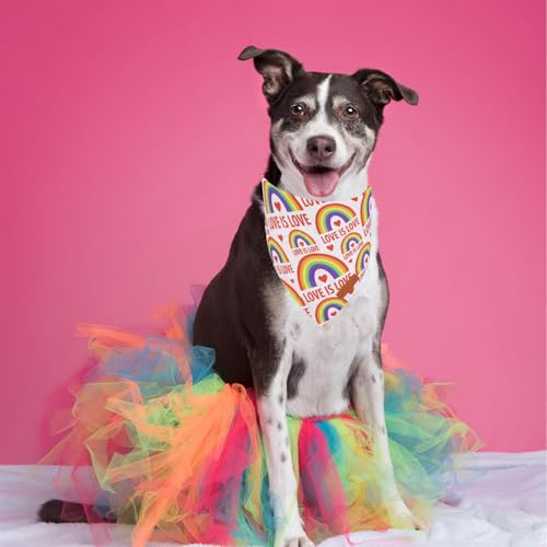 Rainbow Dog Bandanas Pride Day Love is Love Pet Scarf (X-Large / Rainbow)