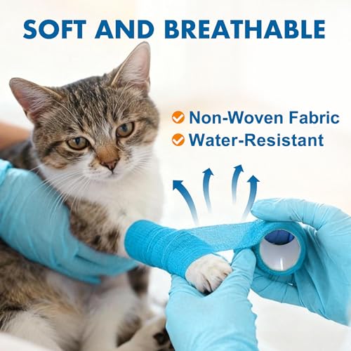 10 Rolls Self Adhesive Vet Wrap (3 Inch x 5 yards)