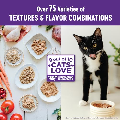 Healthy Indulgence Morsels Adult Wet Cat Food (3 Ounce (Pack of 24))