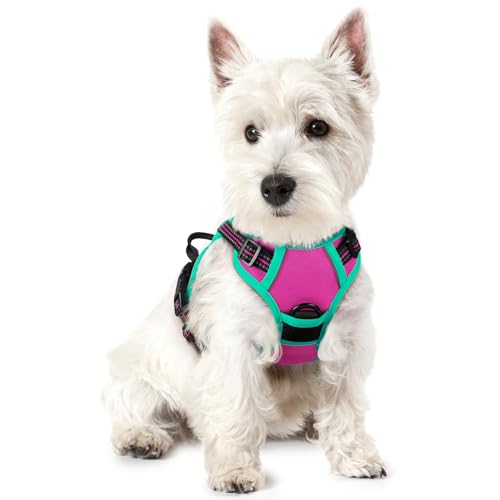 Dog Harness No Pull for Small Dogs with 2 Leash Clips (X-Small / Hot Pink & Turquoise)