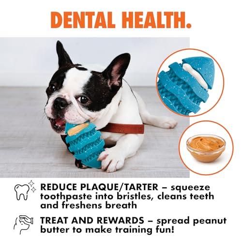 Max Fusion Spiro Football Dog Toy