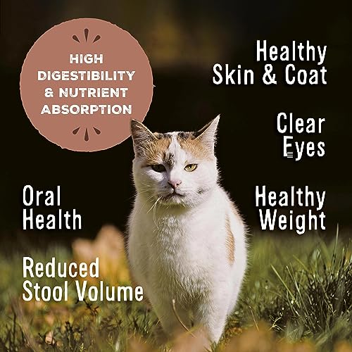 Primal Freeze Dried Raw Cat Food Nuggets (14 Ounce (Pack of 1))