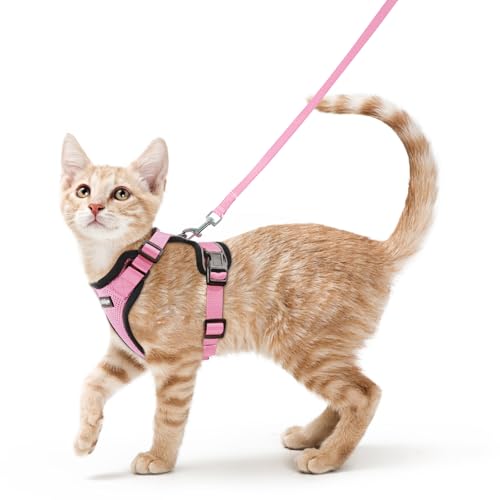 Cat Harness and Leash Set (Xs / Pink)