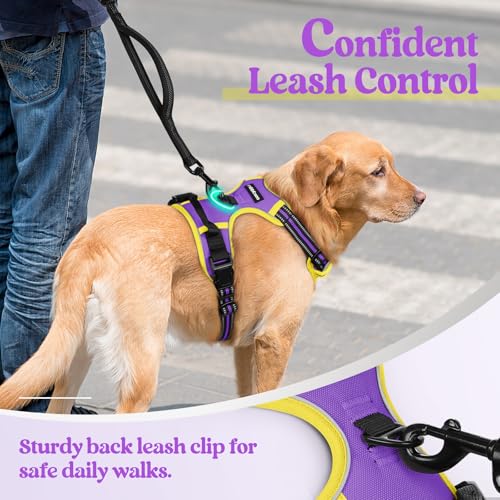 Dog Harness No Pull Medium Sized with 2 Leash Clips