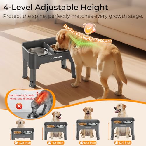 Mess Proof Elevated Dog Bowls (Grey / Medium)