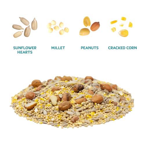 Waste Free Wild Bird Seed (12 Pound (Pack of 1))