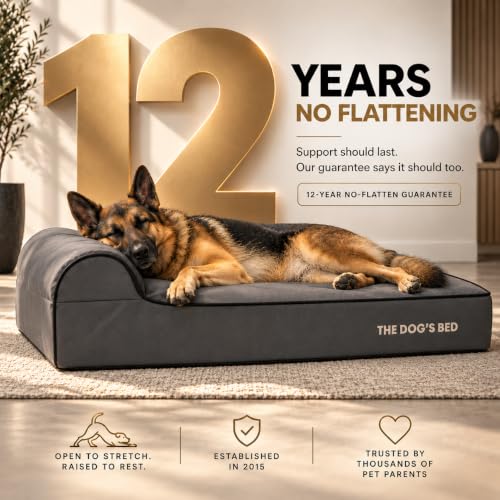 The Dog’s Bed Orthopedic Memory Foam Dog Bed with Headrest XL 6 (Grey with Black Trim / XL (46"L x 28"W x 6"Th))