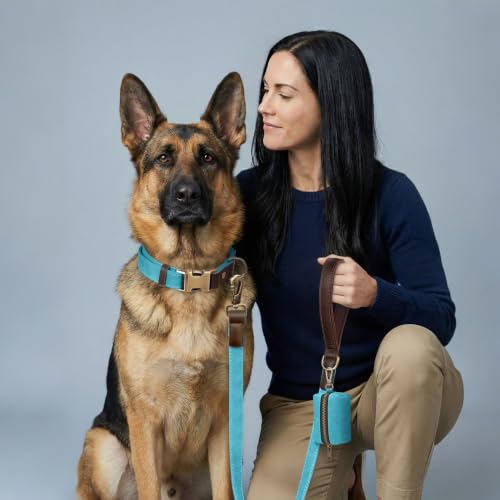 PU Leather Dog Collar for Large Dogs (Light Blue / XL: Neck 20-27", Width 1¼")