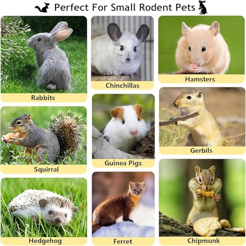 2000g Organic Apple Sticks Small Animals Teeth Grinding Chew Toy (4.41 Pound (Pack of 1))