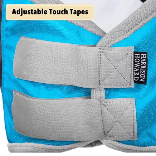Pro Luminous Horse Fly Mask Standard with Ears UV Protection for Horse Azure Blue (Azure Blue/Silver / Medium (Arabian))