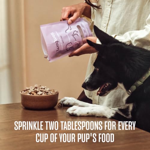 Freeze Dried Beef Liver Dog Food Topper (4 Ounce (Pack of 2))