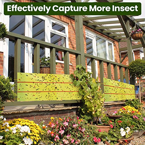 2 Pcs Giant Flypaper Fly Traps (Yellow)